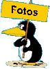 Pinguinbilder